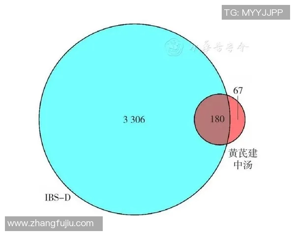 赛后分析:成都排球队与北京排球队的团队协作与战术对比探讨 赛后分析:成都排球队与北京排球队的团队协作与战术对比探讨