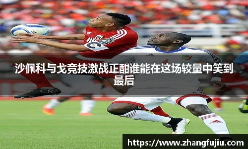 沙佩科与戈竞技激战正酣谁能在这场较量中笑到最后