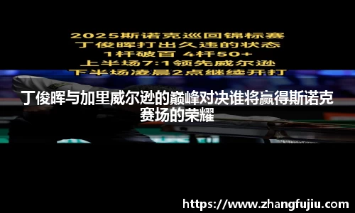 丁俊晖与加里威尔逊的巅峰对决谁将赢得斯诺克赛场的荣耀